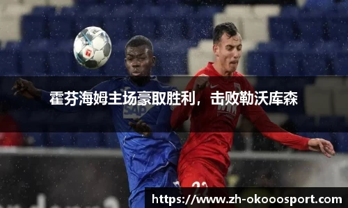 霍芬海姆主场豪取胜利，击败勒沃库森