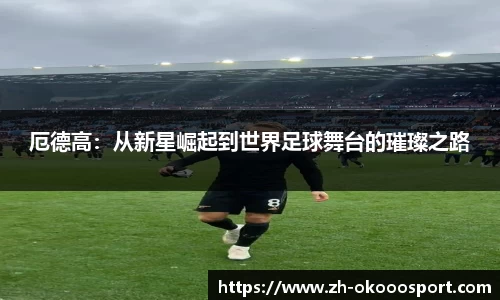 厄德高：从新星崛起到世界足球舞台的璀璨之路