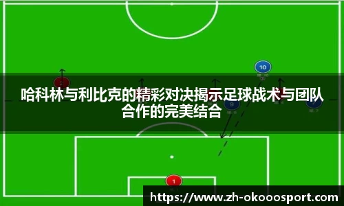 哈科林与利比克的精彩对决揭示足球战术与团队合作的完美结合
