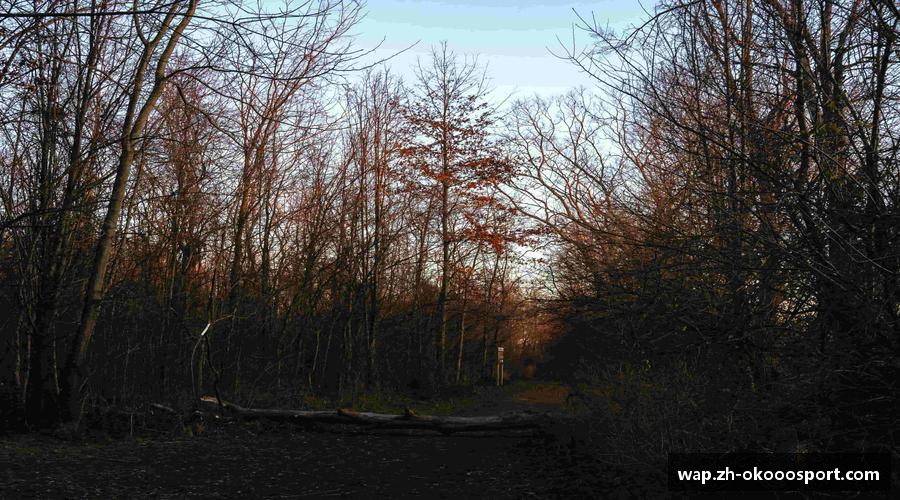 澳客-足彩官方网站-体育赛事足球竞彩比分-投注赔率分析